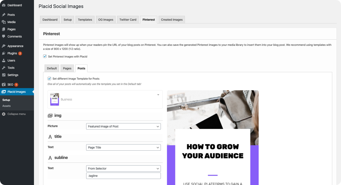 Placid WordPress plugin demo screen
