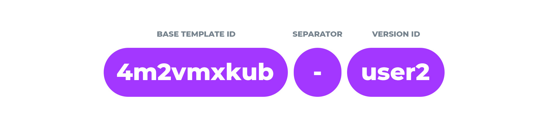 Placid template version ID structure